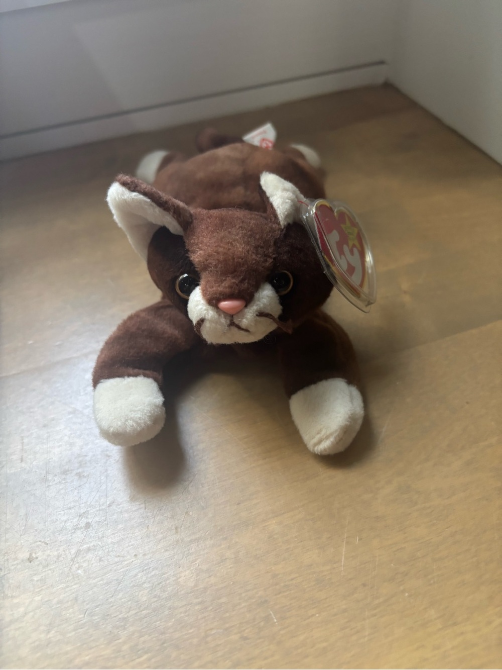 Ty beanie baby Pounce